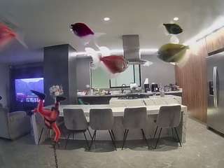 voyeurcam-casa-salsa-fishtank