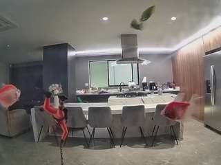 voyeurcam-casa-salsa-fishtank