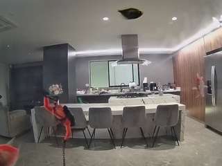 voyeurcam-casa-salsa-fishtank