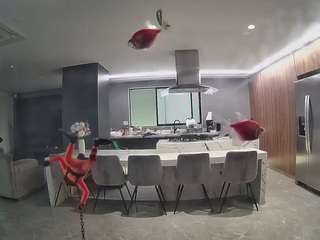 voyeurcam-casa-salsa-fishtank