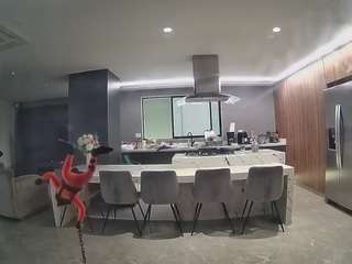 voyeurcam-casa-salsa-fishtank