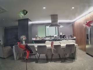 voyeurcam-casa-salsa-fishtank