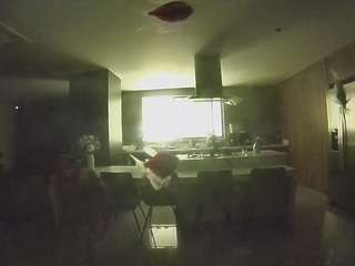 voyeurcam-casa-salsa-fishtank's Info Image