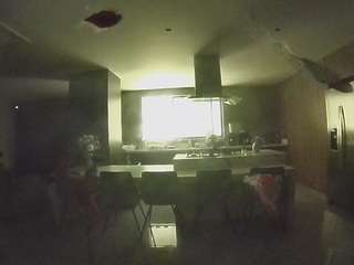 voyeurcam-casa-salsa-fishtank