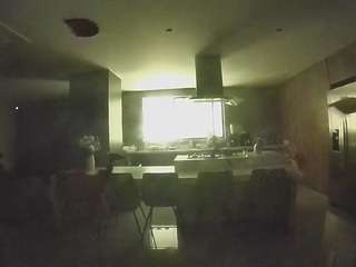 voyeurcam-casa-salsa-fishtank