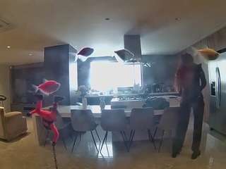 voyeurcam-casa-salsa-fishtank
