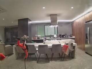 voyeurcam-casa-salsa-fishtank