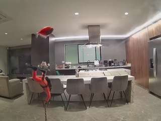 voyeurcam-casa-salsa-fishtank