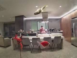 voyeurcam-casa-salsa-fishtank