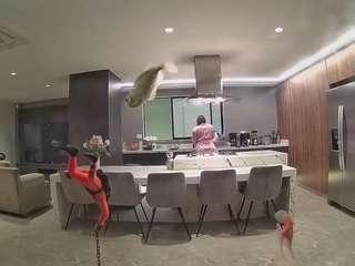 voyeurcam-casa-salsa-fishtank