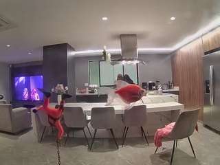 voyeurcam-casa-salsa-fishtank