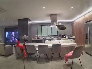 voyeurcam-casa-salsa-fishtank