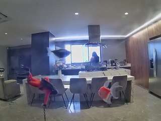 voyeurcam-casa-salsa-fishtank