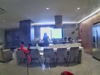 voyeurcam-casa-salsa-fishtank