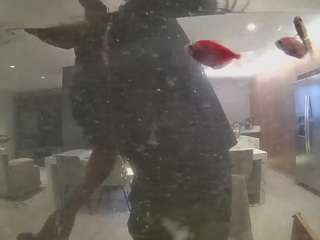 voyeurcam-casa-salsa-fishtank