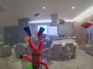 voyeurcam-casa-salsa-fishtank