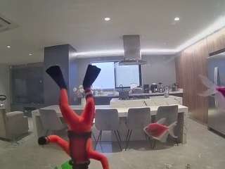 voyeurcam-casa-salsa-fishtank