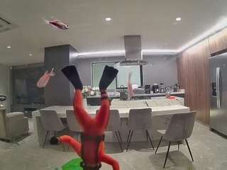 voyeurcam-casa-salsa-fishtank