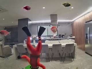 voyeurcam-casa-salsa-fishtank