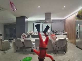 voyeurcam-casa-salsa-fishtank