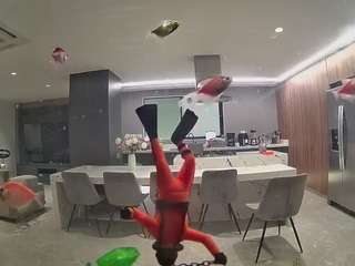 voyeurcam-casa-salsa-fishtank