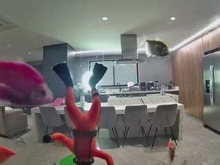 voyeurcam-casa-salsa-fishtank