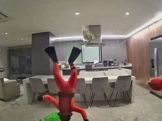 voyeurcam-casa-salsa-fishtank