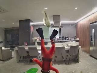 voyeurcam-casa-salsa-fishtank