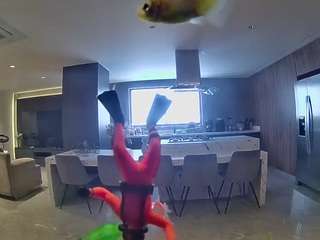 voyeurcam-casa-salsa-fishtank
