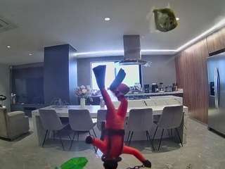 voyeurcam-casa-salsa-fishtank