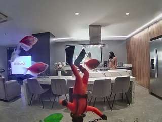 voyeurcam-casa-salsa-fishtank