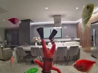 voyeurcam-casa-salsa-fishtank