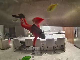 voyeurcam-casa-salsa-fishtank