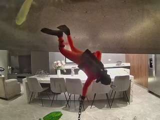 voyeurcam-casa-salsa-fishtank
