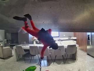voyeurcam-casa-salsa-fishtank
