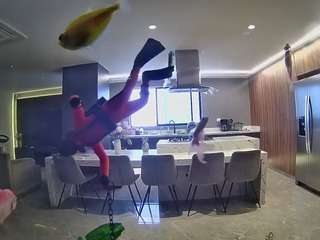 voyeurcam-casa-salsa-fishtank