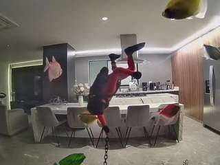 voyeurcam-casa-salsa-fishtank