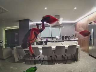 voyeurcam-casa-salsa-fishtank