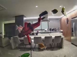 voyeurcam-casa-salsa-fishtank