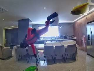 voyeurcam-casa-salsa-fishtank