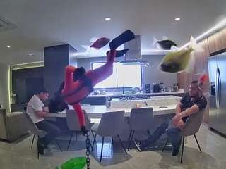 voyeurcam-casa-salsa-fishtank
