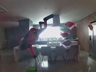 voyeurcam-casa-salsa-fishtank