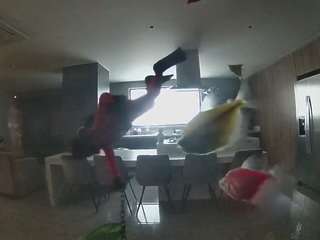 voyeurcam-casa-salsa-fishtank