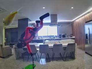 voyeurcam-casa-salsa-fishtank