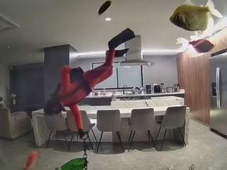 voyeurcam-casa-salsa-fishtank