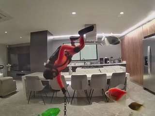 voyeurcam-casa-salsa-fishtank