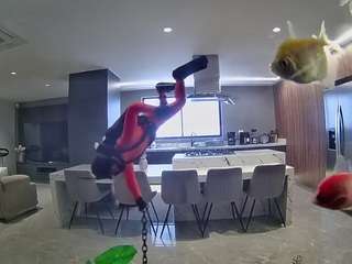 voyeurcam-casa-salsa-fishtank