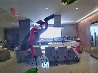 voyeurcam-casa-salsa-fishtank