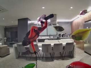 voyeurcam-casa-salsa-fishtank