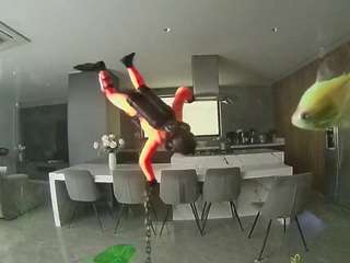 voyeurcam casa salsa fishtank